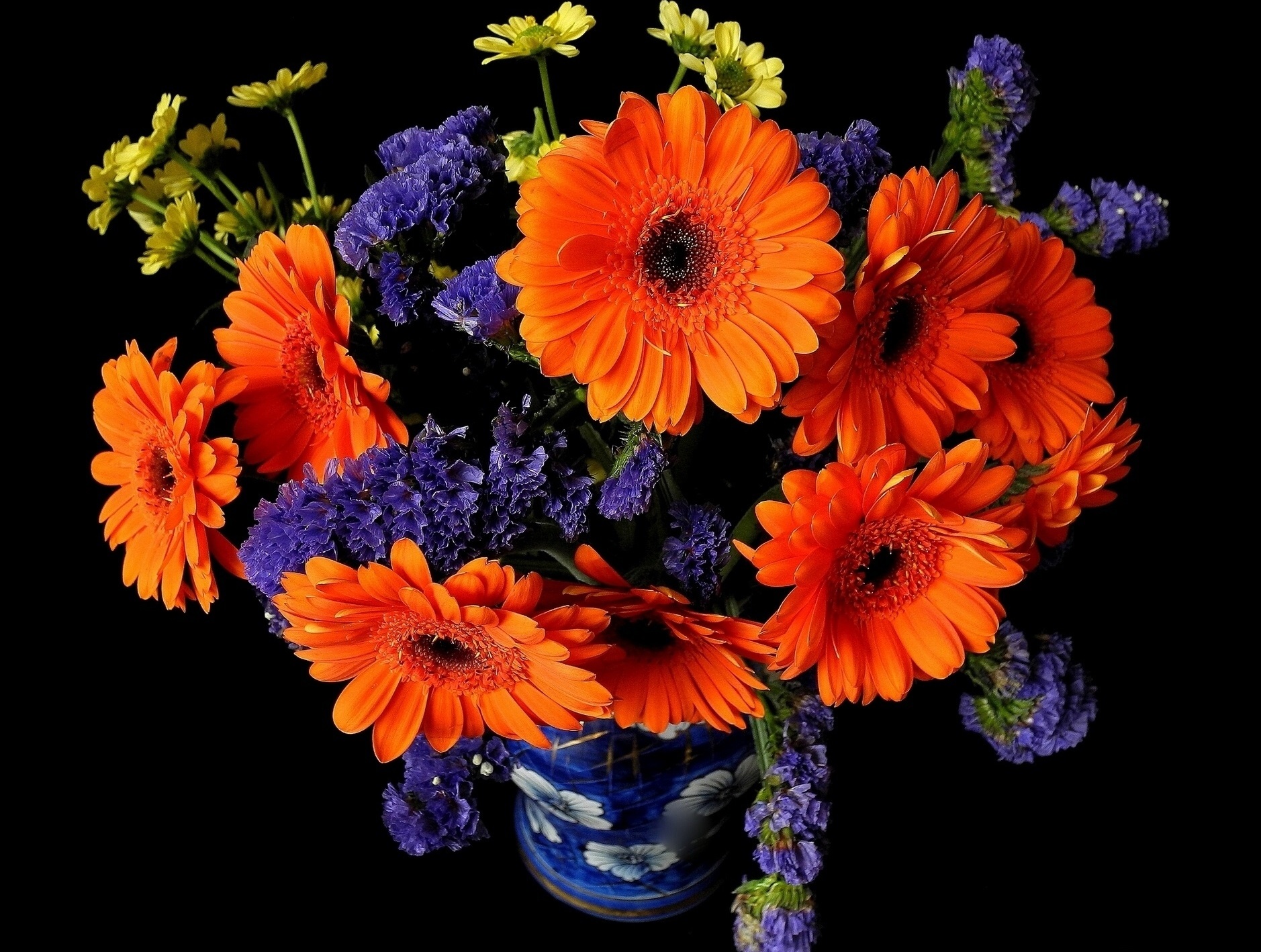 Pomarańczowe gebery w niebieskim wazonie